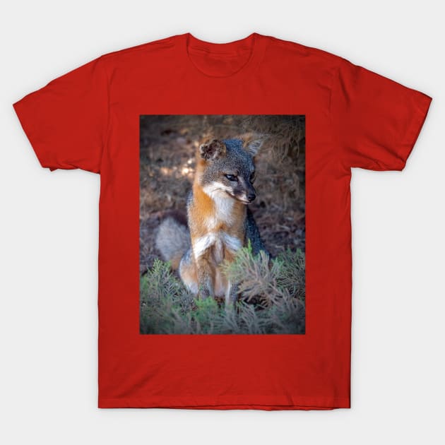 Island Fox T-Shirt by WildSideDesigns